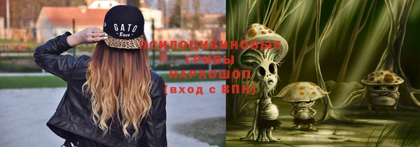 крисы Липки