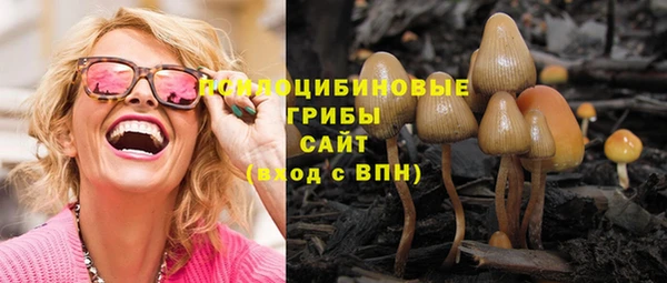 крисы Липки