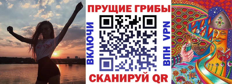 Галлюциногенные грибы Cubensis  Купить закладки  Заинск 