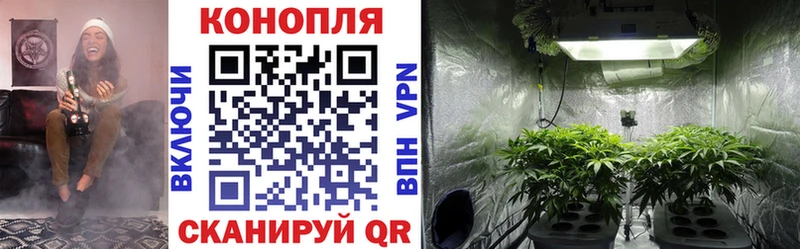 Канабис семена  Купить закладки  Заинск 